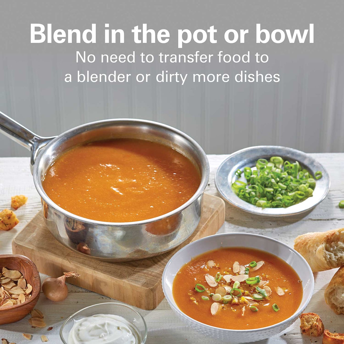 2 Speed Hand Blender